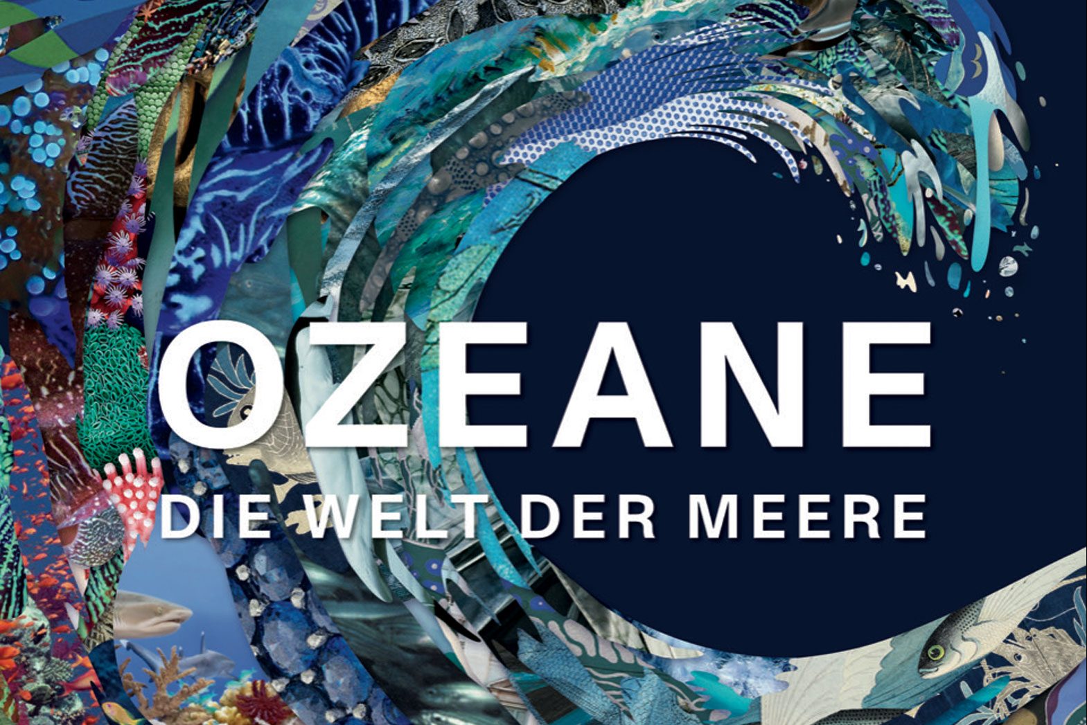 OZEANE-1800-pix