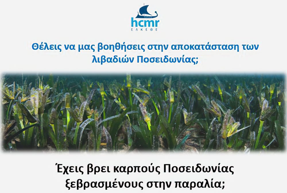 493931405_1132955202210422_4118153380464781006_n