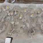 Άποψη του ευρήματος. Σειρά1(2017)