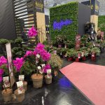 IPM Essen 2026 - Die Welt der Pflanzen im Ausnahmezustand IPM Essen 2026 (4)