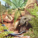 Ausgewürgte Knochen erzählen von der Jagd vor 290 Millionen Jahren Paleoart Dimetrodon Teutonis @ Sophie Fernandez