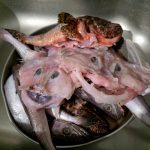 Klassische griechische Fischsuppe mit Avgolemono – Ein elegantes Traditionsgericht Fischsuppe