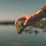 Signe-Bogh-Tonnesen-Vadehavet-7-oysterssafari_©Mads-Tolstrup