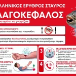 Aggressive Kugelfische sorgen für Alarm an Griechenlands Küsten Λαγοκέφαλος-1.jpg