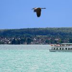 Entdeckungsreise rund um den Bodensee 2026-07-09-10 bODENSEE (c) Maris Rietrums (93)