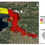 WWF-Griechenland: Mehr als 180.000 Acres verbrannter Waldflächen in nur wenigen Tagen WWFWaldbrände