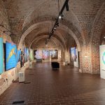 Schloss Stettin (8)